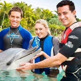 PROFIT UP FOR VILLAGE ROADSHOW DESPITE LOWER VISITOR NUMBERS