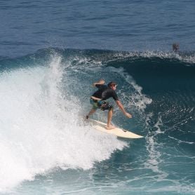 SURFERS CAPTURED BY ONLINE BUSINESS
