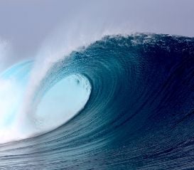 SURFSTITCH FLOAT GATHERS MOMENTUM
