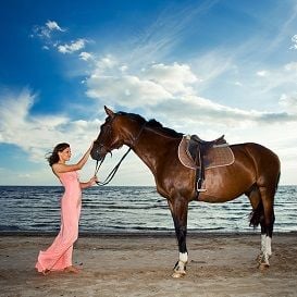 THE GOLD COAST'S MAGIC TICKET