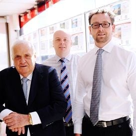 THE ULTIMATE PROFESSIONALS