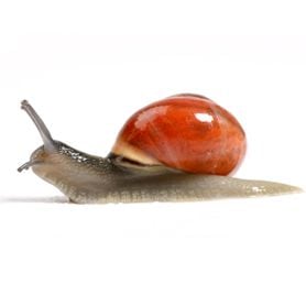 TREASURER CONCEDES A SLOW RECOVERY