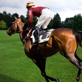 TURF CLUB STILL IN THE BLOCKS AFTER QRL MEETING