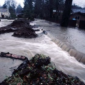 ASIC TO ASSIST FLOOD AFFECTED COMPANIES