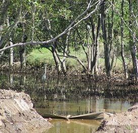 DEVELOPER FINED AFTER FISHY BUSINESS