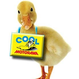MOTORAMA JOINS RACE FOR CANCER RESEARCH