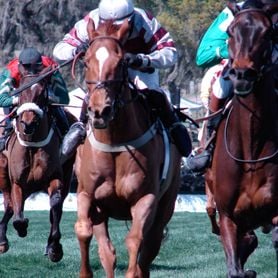 TATTS HAS COMPETITION FOR EXCLUSIVE LICENCE