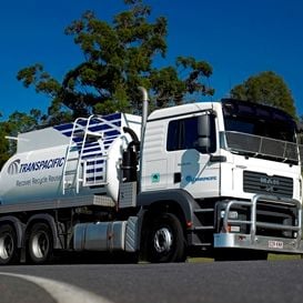 TRANSPACIFIC SHARES DUMPED ON $41M LOSS