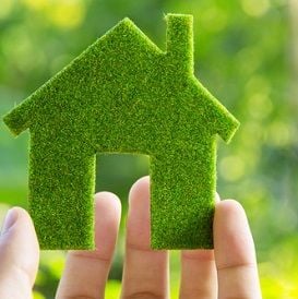 TWO GREEN THUMBS UP