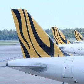VIRGIN TO BUY TIGER WITH GOLD COIN DONATION