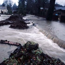 WILL YOUR BUSINESS WEATHER THE STORM AHEAD?