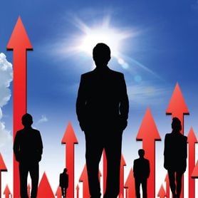 CARDNO CALLS OFF CEO SEARCH