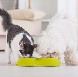 GROWING APPETITE FOR PETS TO GO PALEO