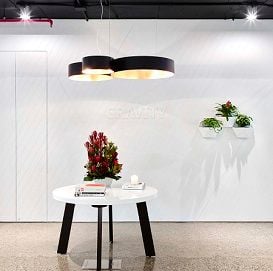 WHY COWORKING IS BETTER THAN CUBICLES