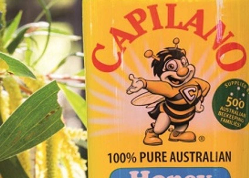 CAPILANO SHARE PRICE BUZZES AFTER RECORD PROFIT