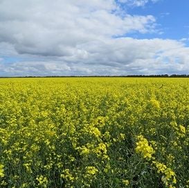 AUSSIES BUY BACK THE FARM FOR $30M