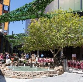 SCENTRE EYES MORE OF CARINDALE TRUST