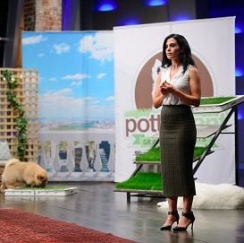 GRASSROOTS PET BUSINESS ATTRACTS SHARK
