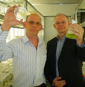 $1M GRANT TO ACCELERATE QLD ALGAE FARM