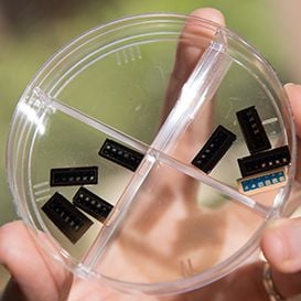 TINY TECH PROMISES MASSIVE DISRUPTION