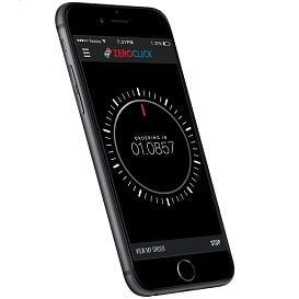 DOMINO'S INTRODUCES 10-SECOND ORDERING