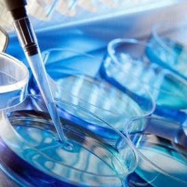 ACCC FIRES WARNING SHOT TO IVF PROVIDERS