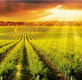 AGRIBUSINESS ON THE FRONT LINE