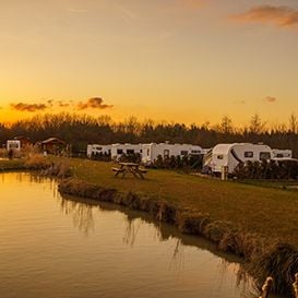 CAMPLIFY MOTORS INTO THE UK MARKET