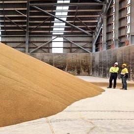 INCITEC PIVOT SHARE PRICE SURGES AS IT BEATS EARNINGS EXPECTATIONS
