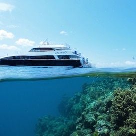 EXPERIENCE CO ACQUIRES TWO TOURISM COMPANIES IN FAR NORTH QUEENSLAND