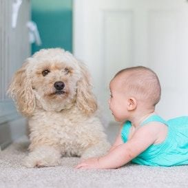 Baby Bunting suffers significant first-half profit drop from "aggressive discounting"