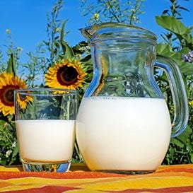 A2 Milk laps up revenue increase amid struggling market