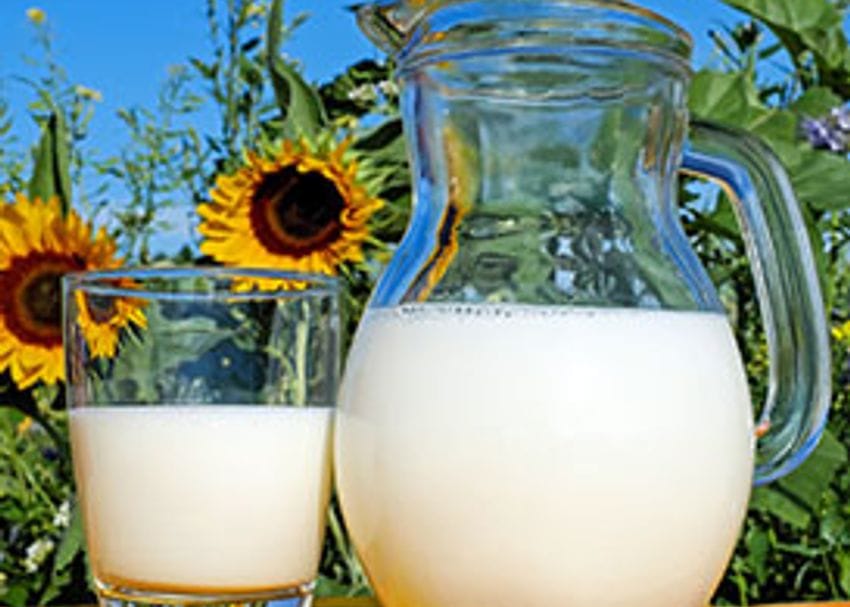 A2 Milk laps up revenue increase amid struggling market