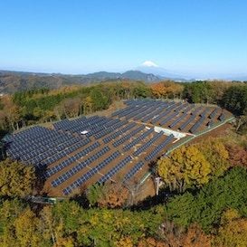 NaturesCoin is set to be one of the first digital economies with a real purpose