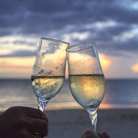 Winemaker behind Hardys acquired by US firm