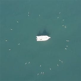 Underwater drone maker scores landmark deal with US Navy