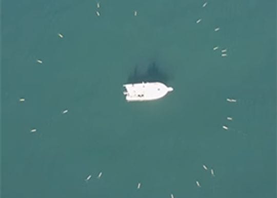 Underwater drone maker scores landmark deal with US Navy