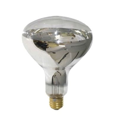 Beacon to roll out voice-controlled lighting