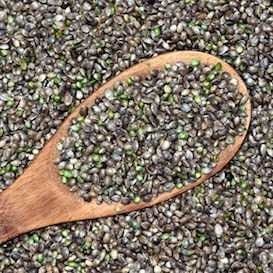 QBL keeps it in the family with hemp & health foods merger