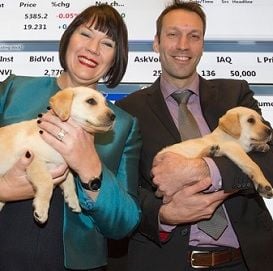 Acquisitions give National Vet Care profit a bounce