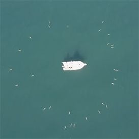 Sydney underwater drone maker joins US warfare consortium