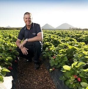 Confidence in crisis: Overcoming collateral damage after strawberry needle disaster