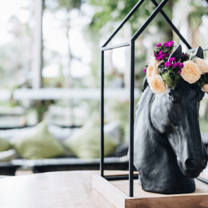 Celebrate the Melbourne Cup in paradise at the Marriott Resort