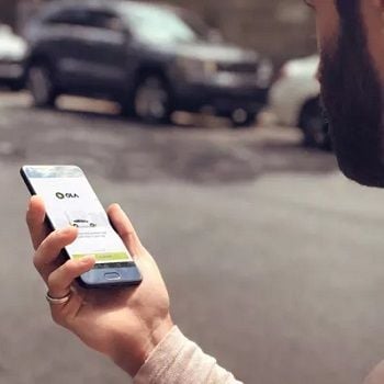 Ridesharing, organic farming among sectors to watch in 2019