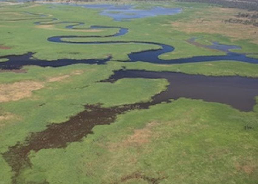 Huge Murray-Darling wetland saved by $55M sale to conservationists