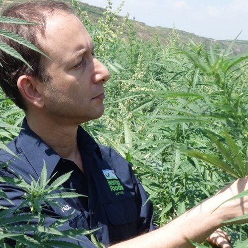 Australia's largest cannabis company enters JV with RFI
