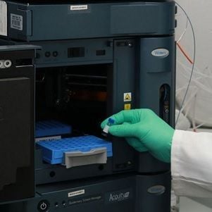 Stars align for THC Global after cannabis manufacture licence granted