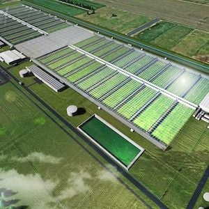 Cannatrek to build $160 million medicinal cannabis facility in Victoria