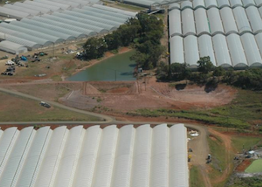 THC secures new production site in Bundaberg