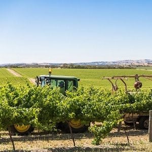 Rural Funds founder snaps up more shares as Bonitas turns up the heat